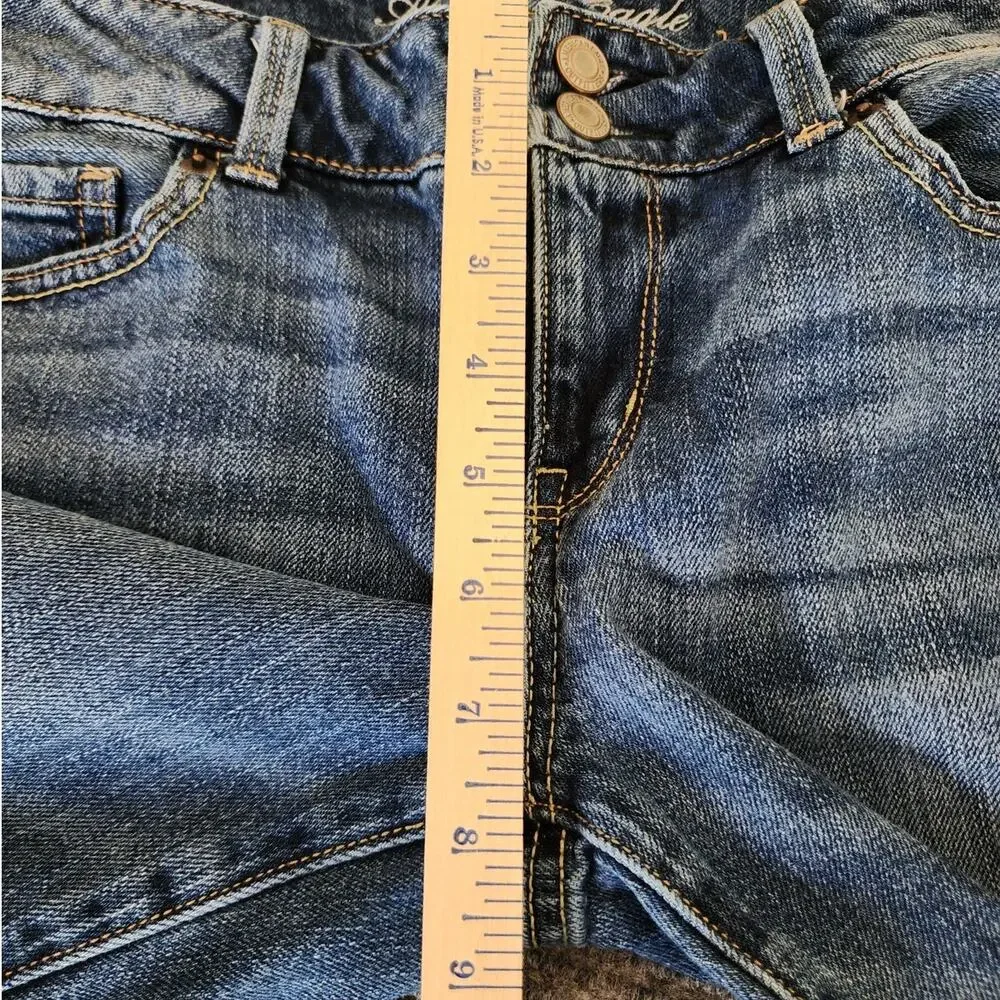 American Eagle Outfitters Womens 10 Artist Double Button Blue Denim Jeans